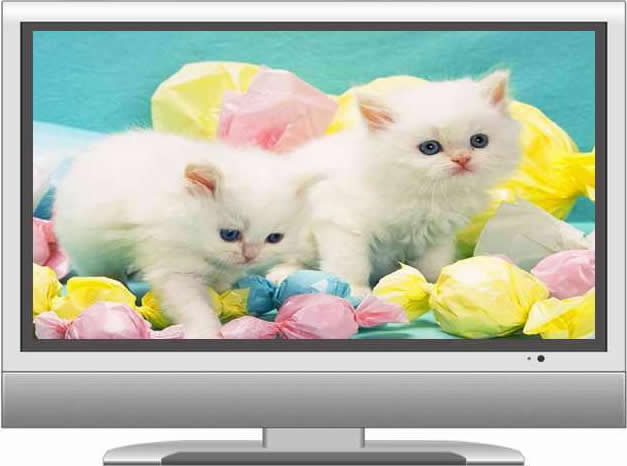 ����Һ���ҕ�����Ԓ0755-36989889